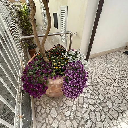 Apartmán La Casa Di Rosi Al Mare